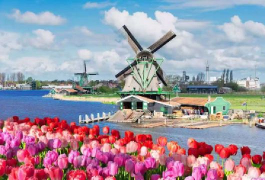 荷兰阿姆斯特丹 梵高博物馆  阿姆斯特丹运河 水坝广场一日游【“低地之国” 无边无际郁金香花海 探访古老风车村 童话般的水上村落 古典油画】