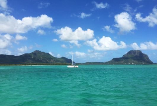 毛里求斯西北部庞普穆斯植物园+路易港蔻丹广场等包车一日游【植物园+红顶历史教堂+现代购物+大湾海滩休闲，行程节奏舒缓，适合家庭及休闲游客】