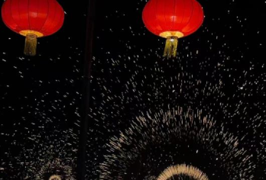 秦岭野生动物园+诗经里一日游【过大年，邂逅萌宠，诗意清欢】【赴秦岭与动物相伴，入诗经里品国风之美，一日解锁双重快乐时光】