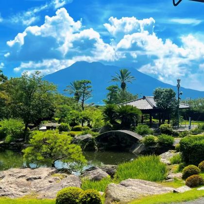 鹿儿岛一日游 仙岩园-城山展望台-照国神社-天文馆通-水族馆