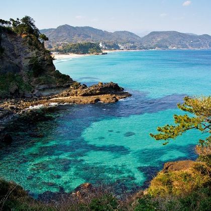 东京往返｜伊豆温泉+河津古街+修善寺温泉街一日游（不含票）