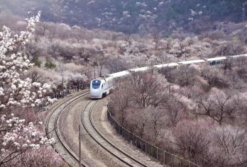 北京八达岭长城+颐和园【可选上门接或含餐』安心出游·无购物】【[轻松出行]五环内可选上门接，让您出行更加轻松便捷。】