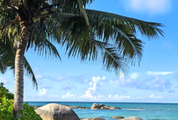 海南文昌一日游 保姆级路线 私人订制行程 酒店接送 xx【品质出游】