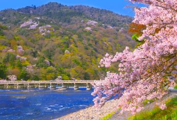 日本京都岚山&胜尾寺一日游【中文司导|网红美景打卡】【京都世界遗产古迹巡礼，赏四季美景】