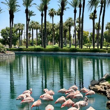 美国洛杉矶*救赎山-沙漠奥莱-棕榈泉/包车【精选老司机】