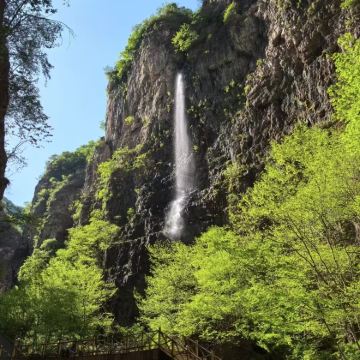 【天天发团 无购物】保定野三坡百里峡一日游 