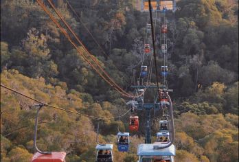 永定高北土楼群加钟鼓山索道包车一日游【私人定制包车服务，全程时间充足，轻松自由行线路，家人般的接待精致小团专属服务】