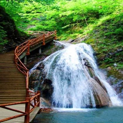 陕西商南金丝峡景区一日游【秦岭宝库，天然氧吧，包车出行】