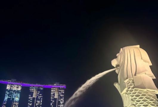 新加坡市区包车一日游-打卡各种网红景点-可多日包车【包车一日游，解锁旅行新方式！独立车辆配备经验丰富的老司机，为您量身打造专属行程。】