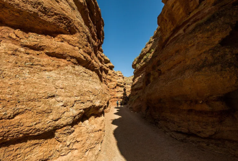 张掖旅游平山湖大峡谷纯玩半日游【1-8人宽松团/上门接送】【[纯玩无购物]充足游玩时长，拒绝走马观花，全程纯玩无购物】