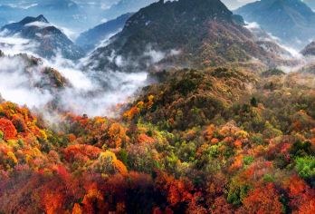 汉中+光雾山国家森林公园1日游（含门票+往返观光车）【车辆15%空座率，严选安全舒适车辆，优秀当地老司机，熟悉路况，安全驾驶，服务态度好，真诚待客。】