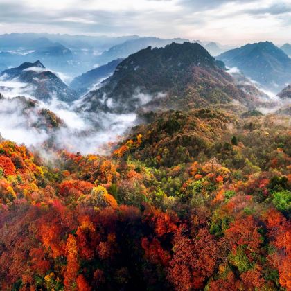 汉中+光雾山国家森林公园1日游（含门票+往返观光车）