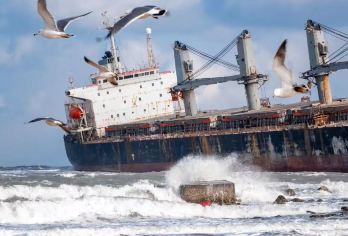 威海一日游【不拼车/可定制/上门接送】【[经典线路]行程可定制，纯玩特惠,当地土著带您游崂山】