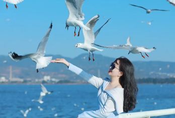 石林风景区+滇池一日游【上门接|4500+好评|金牌导游】【[品质旅游]4500+好评，获得携程全国服务大奖，官方品质认证，纯玩无购物！】