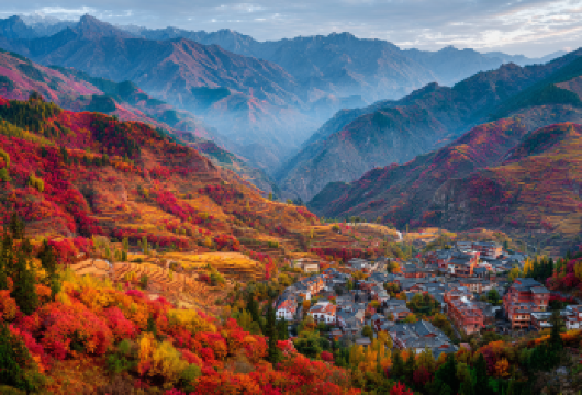 金佛山一日游【2-8人小团丨上门接送丨纯玩无购物】【[品质亮点]：含门票，您不操心繁琐的排队购票事情及等待苦恼，旅游管家为您操办一切，没有后顾之忧。】