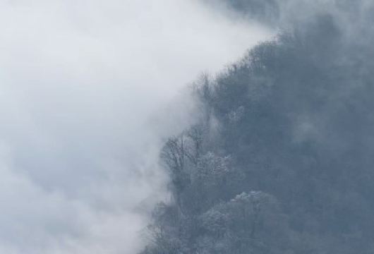 赵公山西线1日游【雾凇、森林徒步、领奖牌、财神庙财神】【专业户外纯玩，领队贴心服务，经验丰富司机，出行无忧】