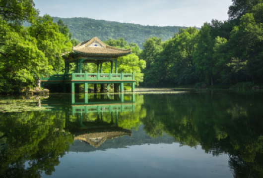 潮州绿岛旅游山庄线||绿岛山庄+拓展基地【生态休闲 + 亲子拓展，体验农耕文化，参与亲子游戏，品尝绿色农产品，适合家庭周末放松】
