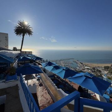 突尼斯市区私人包车一日游（8小时）｜可选中文/英文