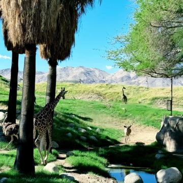 美国洛杉矶~救赎山-沙漠奥莱-棕榈泉/包车【精选老司机】