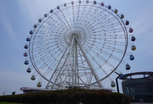 森林野生动物世界+星摩天轮+啤酒城+影都融创乐园+全景秀【中文司机】