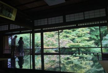 日本京都往返奈良.奈良公园.若草山.春日大社.红叶巡礼红叶季【专业行程定制，精选热门景点，高效游玩不走回头路，贴心服务保障，轻松】