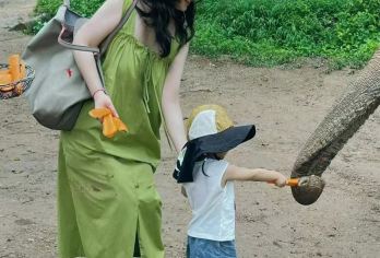 西双版纳野象谷一日游独立成团/晚出发/出行无忧【[邂逅野象]带您进入热带雨林，深处寻觅野象踪迹，开启您的探索之旅】