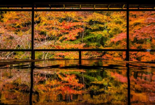京都岚山+三千院+贵船神社+瑠璃光院【枫叶季赏枫之旅】【24小时客服在线-上门接送-无购物无隐形消费】