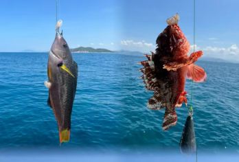 三亚休闲海钓4H【9-13/14-18时段可选】【40尺专业钓鱼艇《自带探鱼器》】