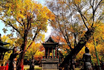 山西博物院+晋祠博物院一日游（含门票+讲解）【6人小团，2人起发，告别“人挤人”】