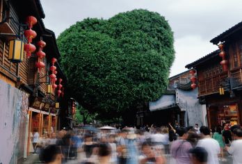 三坊七巷+林则徐纪念馆+烟台山+上下杭【赠水上巴士体验】【品质出游】