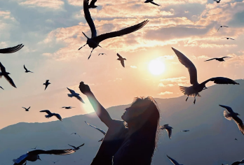 石林+滇池包车游 |9小时无忧专车 | 双世遗奇观全程轻松玩【一价全包无套路：含车辆、油费、司机、保险，无任何隐藏消费、石林景区门票+电瓶车】