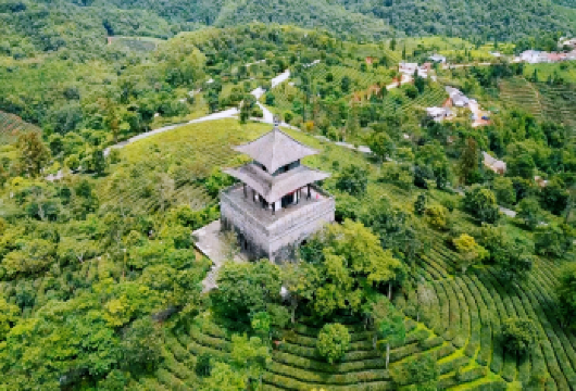 【纯玩私家团不拼陌生人】普洱中华普洱茶博览苑+咖啡庄园一日游【[懒人友好]纯玩小团，游玩时间充裕，一日之内打卡茶咖文化】