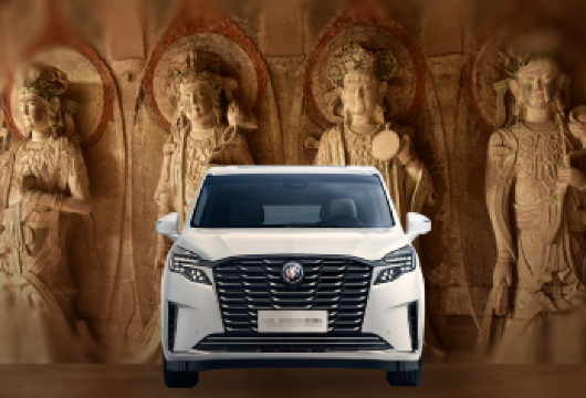 私家团●重庆大足石刻包车一日游●上门接送+宝顶山/北山石刻【包车游，上门接送】