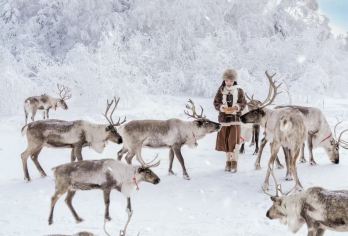 赠雪圈＋驯鹿园＋滑雪套票＋马拉爬犁【亚布力阳光滑雪场一日游】【免费接送：亚布力西站/南站/亚布力旅游度假区所有酒店民宿免费接送，出行更方便，避免在寒风中等车。】