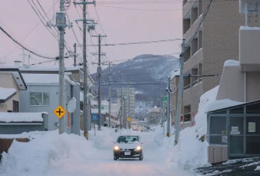 日本札幌往返大雪山国家公园-可小樽登别富良野北海道包车-精选【包车一日游，解锁旅行新方式！独立车辆配备经验丰富的老司机，为您量身打造专属行程。】