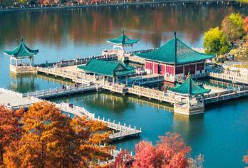 湖北省博物馆+东湖+昙华林+黄鹤楼+武汉长江大桥一日游【私家小团丨小众法丨独立包车丨车型可选丨优选行程丨管家服务丨上门接送】