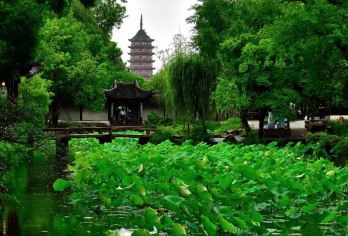 苏州+拙政园半日游【景区深度讲解II私人定制服务】【90分钟精心讲解】