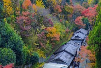 日本京都-二条城-三千院-贵船神社-包车-热门景点一网打尽。【专业行程定制，精选热门景点，高效游玩不走回头路，贴心服务保障，轻松】