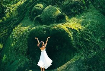 乌布【网红神庙逃亡|梯田|秋千|圣泉寺或乌布皇宫可选】日游【[新景点｜新玩法]绿野仙踪梯田｜网红神庙逃亡点｜乌布皇宫或圣泉寺二选一】