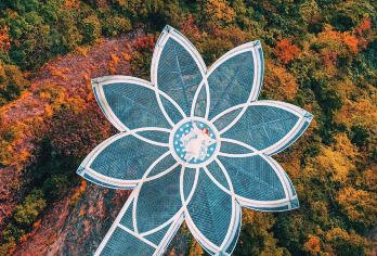 温州出发·佛影莲韵·神仙居+高迁古村包车1日【温州市内接送】【车辆正规营运车辆，手续齐全，干净卫生，更宽，更舒服；】