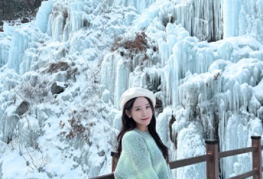 鱼飞溪谷冰川+南怡岛+羊驼世界+江村铁道自行车 (首尔出发)【南怡岛与江村铁道｜四季皆美的南怡岛浪漫迷人，韩剧取景地；沿旧京春线骑行铁路自行车欣赏田园与山川风光。】