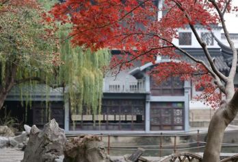 【精致12人】拙政园+狮子林+虎丘+寒山寺+山塘街一日游【[精致小团]（含耳麦）团队人数12人内，舒适慢游，游玩时间充分，不急不赶】