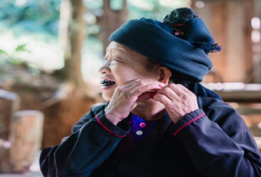 【西双版纳文旅大补贴】勐景来+独树成林景区中缅边境一日游【[边境风情]边境“美龙卡“、传统、古朴、烟火气、干栏式吊脚楼、音乐和歌舞、边民特色集市】