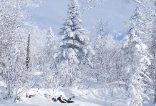 长白山仙峰雪岭景区+老里克湖一日游【独立包车/一单一车】【退伍老兵带队，独立包车，一单一车，深度体验长白山原始风景。】