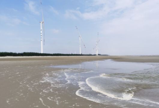 广东一日游 | 你好，湛江【包车8小时】【一单一团一车一司机，专车接送。】