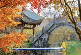 杭州西湖半日游【乘游船登三潭印月岛+赏西湖十景+人工讲解】【赏西湖十景，解读每个景点独特的自然风光！】