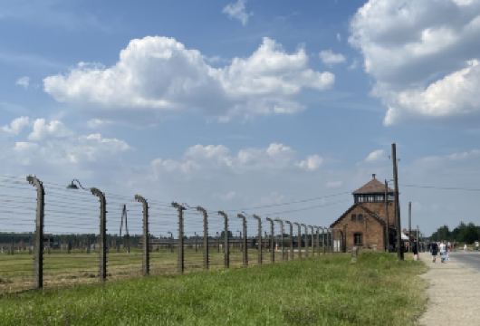 德国柏林*奥拉宁堡（城堡+集中营）*奥林匹克运动场包车一日游【于森林湖泊中抚慰心灵，一天内体验从沉重到治愈的完整情感旅程。】