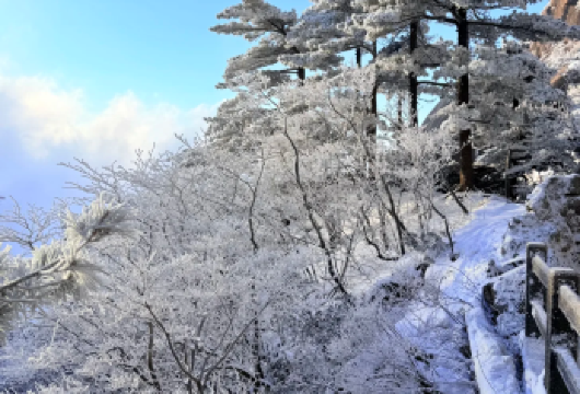 黄山一日游｜四程索道 + 核心景点全覆盖 +上门接送【省力畅玩：四程索道全含，上下山无需徒步，老人小孩都能轻松应对，专注欣赏核心美景。】