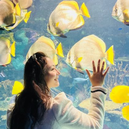 加拿大多伦多蒙特利尔球场＋电视塔＋里普利水族馆-包车【无忧】