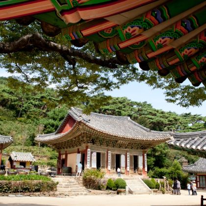 [近郊/首爾] 江華島灘塗馬格利酒釀造廠私人一日遊(含導遊)